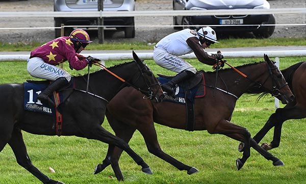 The Big Clubman (right) and Sean O'Keeffe pictured on their way to victory