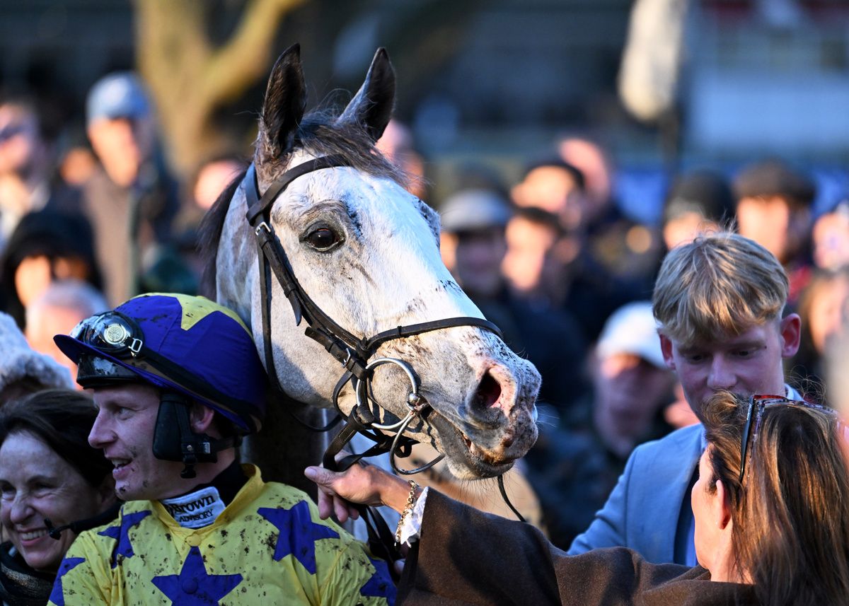 Sandown 6-December-2025 Betfair Tingle Creek Chase (Grade 1)Il Etait Temps and Paul Townend win for owners Hollywood Racing and Barnane Stud and trainer Willie Mullins.Healy Racing