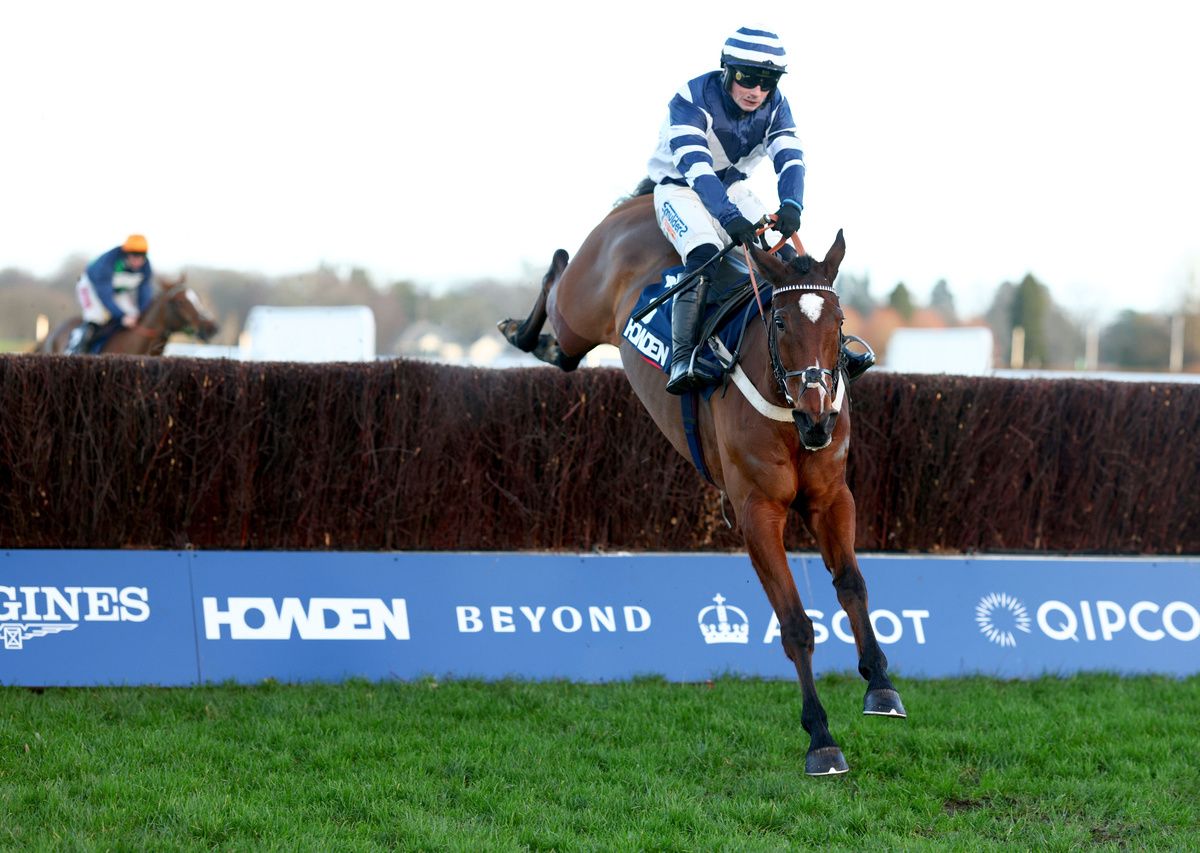 Steel Ally and Dylan Johnston