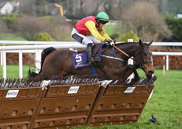 Leopardstown 1 2 26 Cousin Kate and Michael Kenneally win the Mares Handicap Hurdle