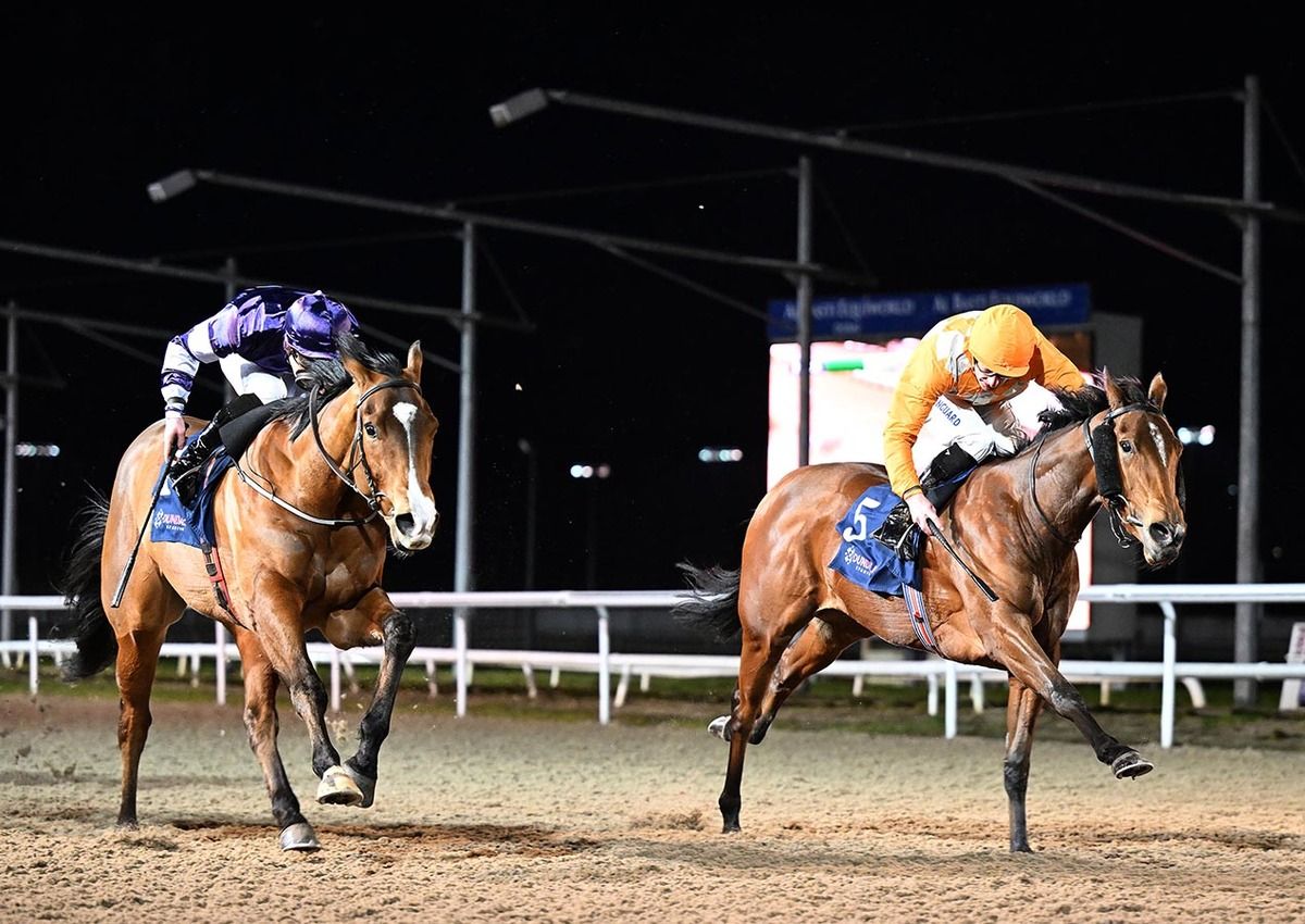 Dancing Saxon and Declan McDonogh (right)