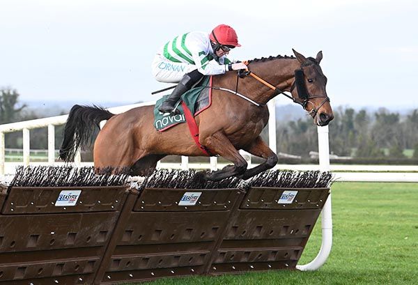 Coyote Spirit and Jack Kennedy