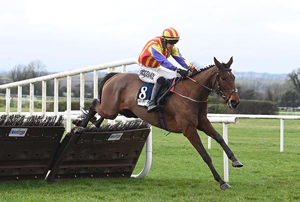 Zanoosh and Brian Hayes